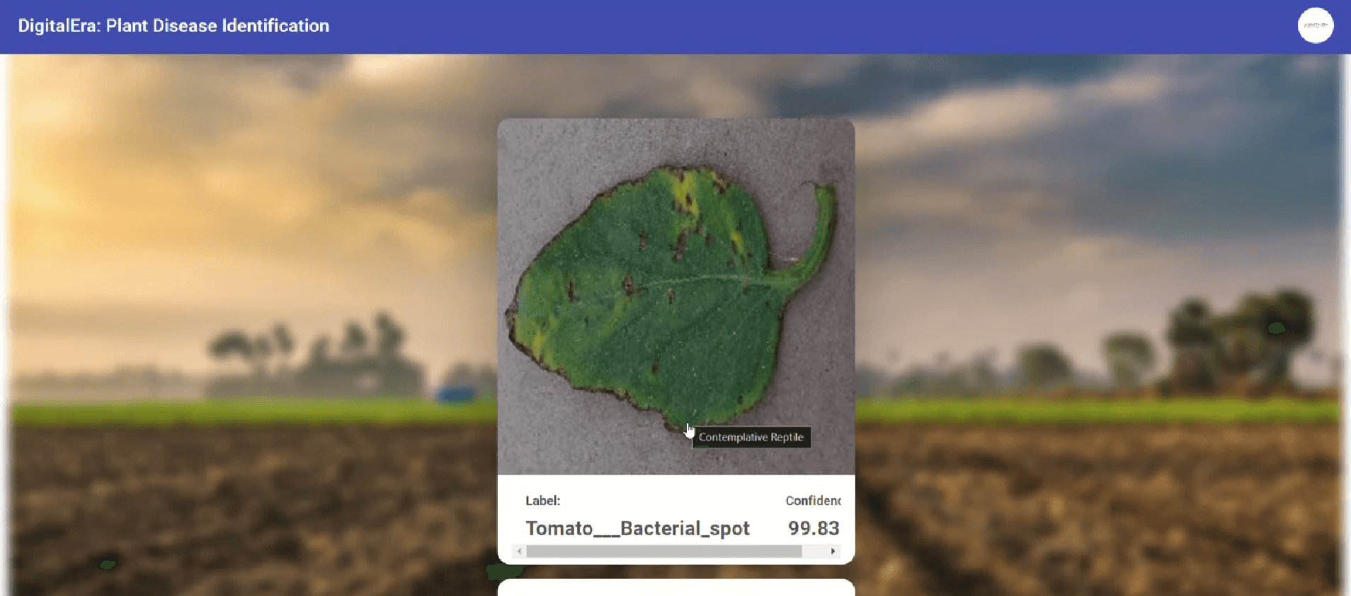 Tomato Disease Identification